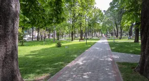 Apartmani Vila Kosa - Image 4