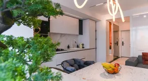 White Residence - Image 4
