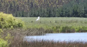 Laguna Verde Cabaña - Image 4