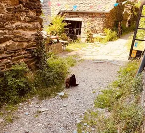 Le Refuge de Castagnols - Image 5