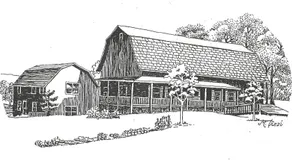 The South Glenora Tree Farm - Image 5