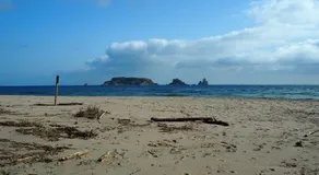 Apartamento céntrico y renovado, 100m de la playa - Image 5