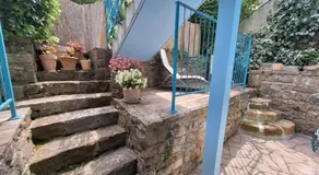 Little garden - Image 3