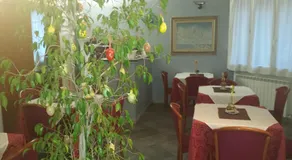 Adelphi Room & Breakfast - Image 5