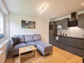Superior Apartment with IR-Sauna No Deposit - Image 2