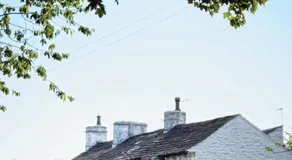The Spread Eagle - Image 5