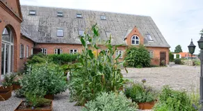 Lundsgaard Bed & Breakfast - Image 3