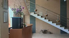 Hotel Stejaris - Image 5