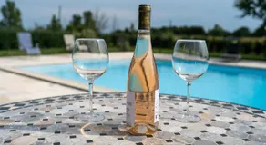 Chez PhiL - Le calme proche de Revel, Castelnaudary, Carcassonne - Image 4