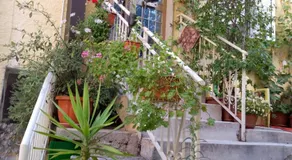 Villa Carolina - Image 2