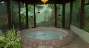 Sachatamia Lodge - Image 5