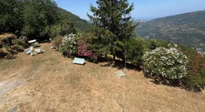 Hotel la Quiete - Image 4