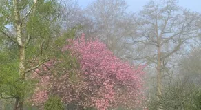 Domaine de Beauvilliers - Image 4