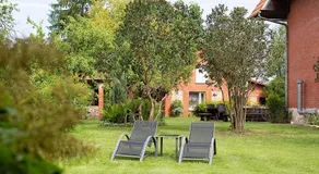 Smilgas - Image 3