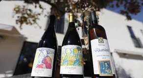 Aragvispiri wine cellar - Image 4