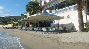 Oasis Hotel Theodoros & Litsa Galaris - Image 5