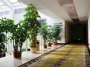 Huatianlong Business Hotel - Image 5