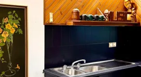 Lake front, Mid-century house with sauna 2 - Image 3