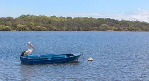The Shack near Maroochy River - Pets, WIFI, linen - Image 5