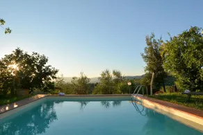 Camera Rondinaia, amidst the olive trees - Image 3