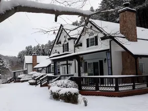 Yangpyeong Daemyeong Norway Forest Pension - Image 2
