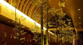 ホテル京都エミナースManyonoyuHotelKyotoEminence - Image 5