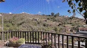 Casa Tía Rosa. - Image 3