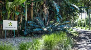 Byron Hinterland Villas - Image 5