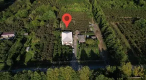 Ani's Green House - Image 5