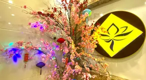 Sen Vàng Hotel - Image 5