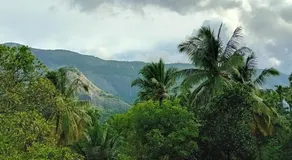 Sradha Farm Stay - Kollengode - Image 5