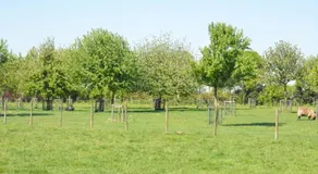 B & B Landhuis Ter Velt - Image 5