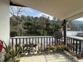 Suri Homestay - Best Homestay In Dalhousie - Image 3