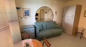 Mimosa - Image 2