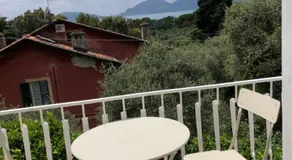 Il Delfino - Image 5
