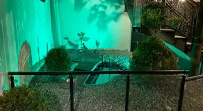 Hotel-Restaurant Zur Traube - Image 4