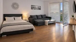 Vivamus Studio - Image 2