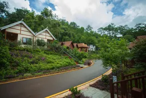 Pu 'er Asia-pacific Forest Organization Base - Image 5