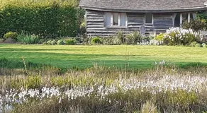 Three Oaks Nursery - Image 5