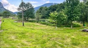 La Grădina - Image 3