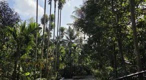 Pearl Farmstay - Image 3