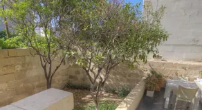Le Margherite - Image 5