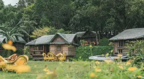 The Apiary Mountain Camp and Farm - Image 5