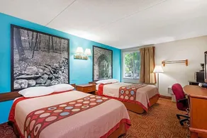 Super 8 by Wyndham Danbury - Image 3