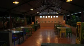 Jungle night - Image 4