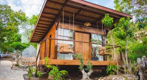 Tevana House Reef - Image 3
