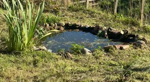 Granny’s Hut - Image 4