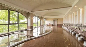 Hotel Morinokaze Oshuku - Image 4