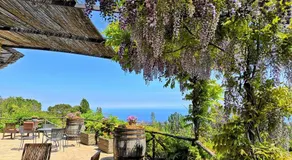 Alberto Mt Etna B&B & Holiday rentals - Image 4