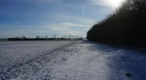 Fewo-Kleinschwabhausen - Image 5